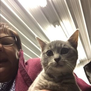 Meet your Posher, Candy